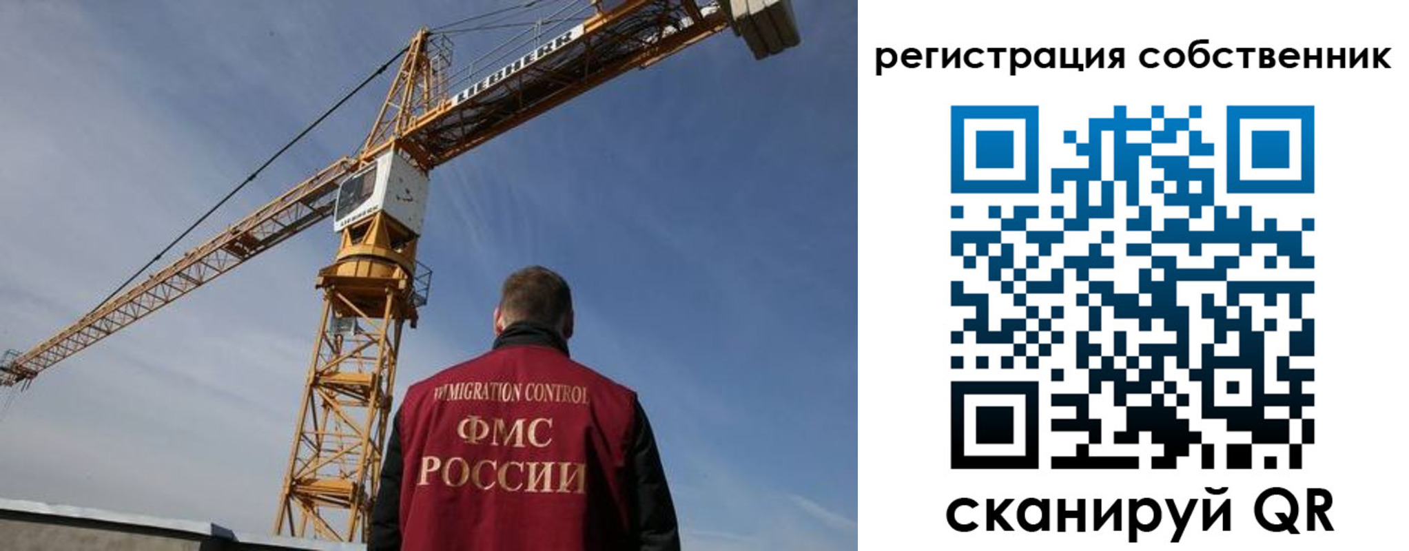 временная регистрация поиск в Палласовке